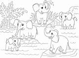 Colorare Elefanti Famiglia Elephants Africani Disegno Olifanten Elefante Fumetto Vectorillustratie Afrikaanse Kleuren Savana Africano Indiani Creativi sketch template