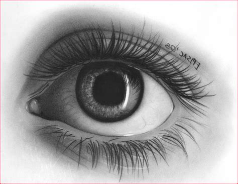 realistic eye pencil drawing  paintingvalleycom explore collection