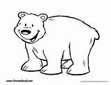 Bear Coloring Printable Templates Polar Pages Printables Kids Categories Timvandevall sketch template