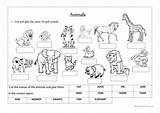 Worksheets Animals Animal Classification Classify Label Wild Kids Domestic Printable Science English Fichas Excel Db Preschool Learning Nature Seleccionar Tablero sketch template