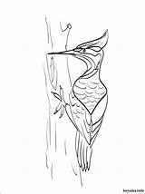 Woodpecker Coloring Pages Drawing Printable Kids Color Animals Tree Drawings Colouring Children Preschool Native American Sheets Getdrawings Stuff Choose Board sketch template