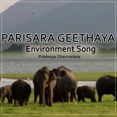 parisara geethaya single songs    songs  jiosaavn