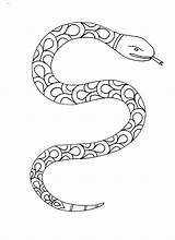 Snake Colouring Coloring Color Snakes Pages Zentangles Dragons Lizards Adult Doodle Shapes sketch template