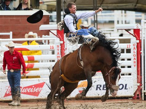 Calgary Stampede Facts You Probably Didnt Know Readers Digest