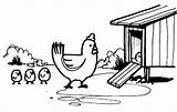 Coop Chicken Coloring Pages Enter Chick Lead Mother Her Netart Print Hen Cartoon Color Search sketch template