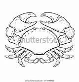 Crab Handdrawn sketch template