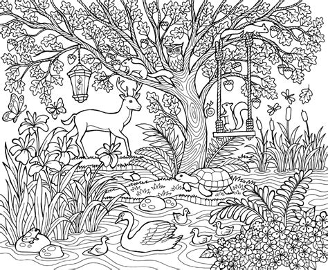 blissful scenes image   adult coloring adult coloring designs