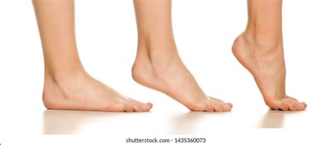 female feet stock   images shutterstock