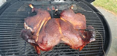 3 Tips For A Perfect Turkey Complete Carnivore
