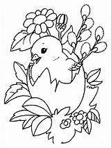 Coloring Chick Pages Baby Color Animals Recommended sketch template