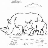 Rhinoceros Coloring Baby Pages Giant Kids Top sketch template