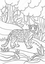Jaguar Bosque Boyama Bevlekte Kleurende Lindo Manchado sketch template