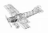 Fokker Cutaway Dvii Biplane Conceptbunny Sunderland sketch template