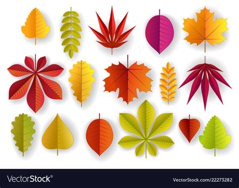 paper cut beautiful color autumn leaves royalty  vector