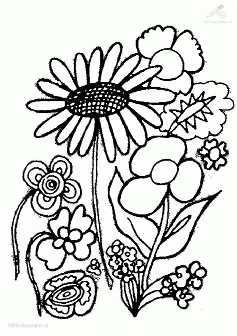 printable plant coloring pages printable world holiday