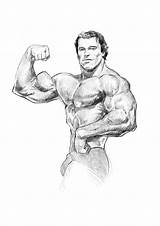 Arnold Schwarzenegger Drawing Sketch Paintingvalley Drawings Sketches Alexander sketch template