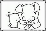 Pigs Piglet sketch template