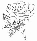 Mewarnai Rosas Bunga Mawar Imprimer Coloriages Sketsa Koleksi Ad3 Putih sketch template