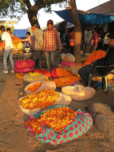jaipur  flower market skinny laminx