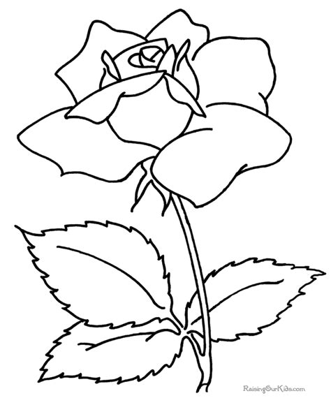 flower coloring book pages   rose