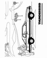 Thunderbird sketch template