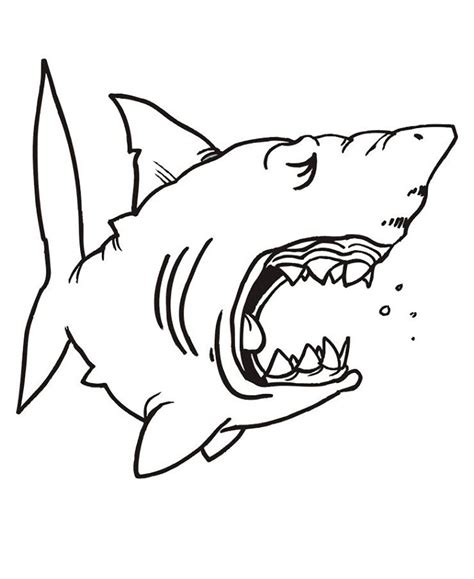 requin endormie sharks kids coloring pages