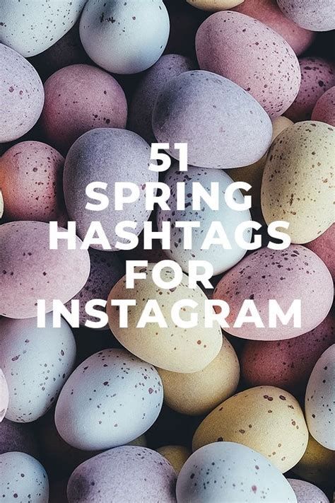 season your instagram and twitter with these seasonal spring hashtags
