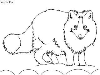 arctic tundra coloring pages coloring pages arctic tundra tundra