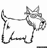 Schnauzer Terrier sketch template