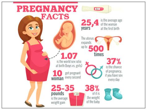 Facts About Pregnancy 15 Surprising Things You May Not