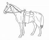 Saddled Saddle Tack sketch template