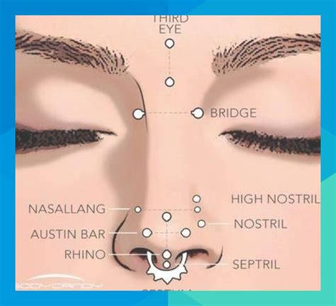 A Guide To The Different Types Of Nose Piercings