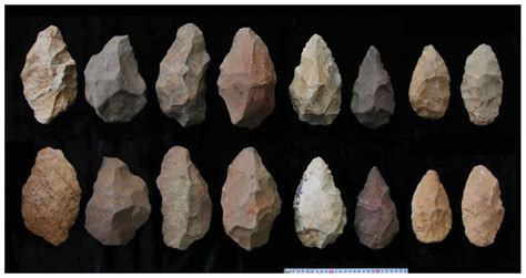 rise  ancient human ancestor lead   stone tools secret