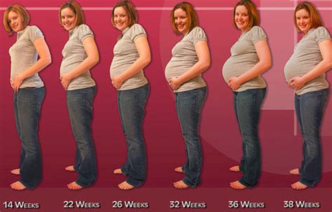 Pregnancy Symptoms Week By Week Hubpages