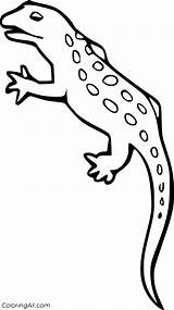 Soparla Colorat Desene Amfibieni Cu Lizard Planse Soparle Coloringall Animale Blotched sketch template