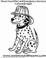 Coloring Fire Dalmatian Dog Pages Gif Popular sketch template