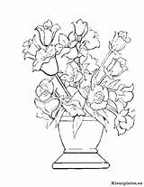 Bloemen Bloem Fleurs Fiore Blumen Champignon Disegno Colorat Fun Coloriage Flori Colorare Kleuren Coloriages Narcise Lalele Ausmalen Planse Ecologie Uitprinten sketch template