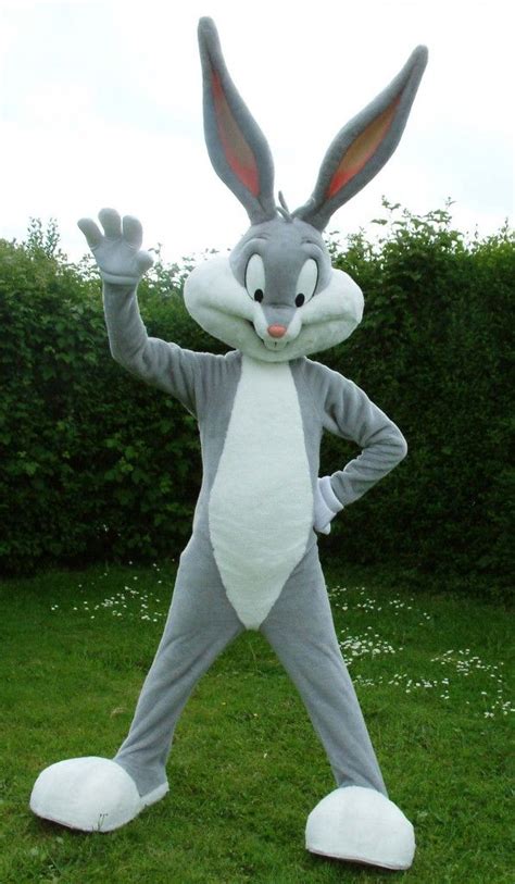 The 25 Best Bugs Bunny Costume Ideas On Pinterest Bugs