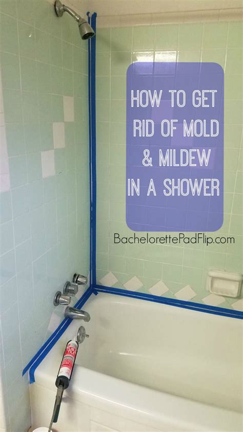 finally  rid  mold mildew   shower affordable diy