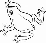 Rana Frosch Ausmalbild Anfibi Rane Frogs Supercoloring Jumping Animali Clipartmag Disegnidacolorare Categorie sketch template