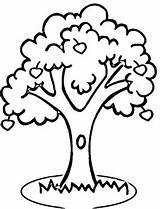 Tree Coloring Clipart sketch template