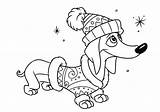 Dog Coloring Pages Dachshund Christmas Weiner Coloriage Chien Clip Kids Teckel Choose Board Info sketch template
