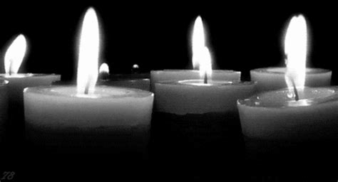 candle s find and share on giphy