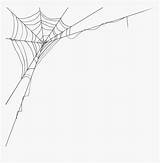 Web Spider Cobwebs Drawing Transparent Vector Kindpng sketch template
