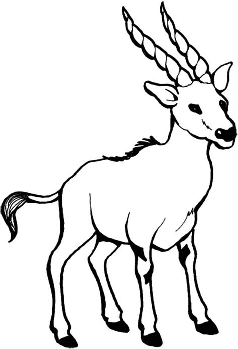 billy  goat  long sharp horn coloring pages  place