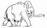 Mammoth Woolly Colorare Mamut Wooly Mammot sketch template