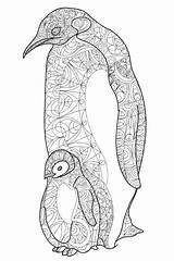 Penguin Kleurplaten sketch template