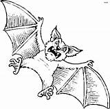 Bat Coloring Pages Color Printable Kids Halloween Scary Book Print Library Clipart Popular Coloringhome sketch template