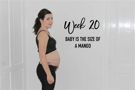 pregnancy update 20 weeks roseyhome