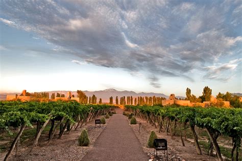 taste  wine  mendoza argentina